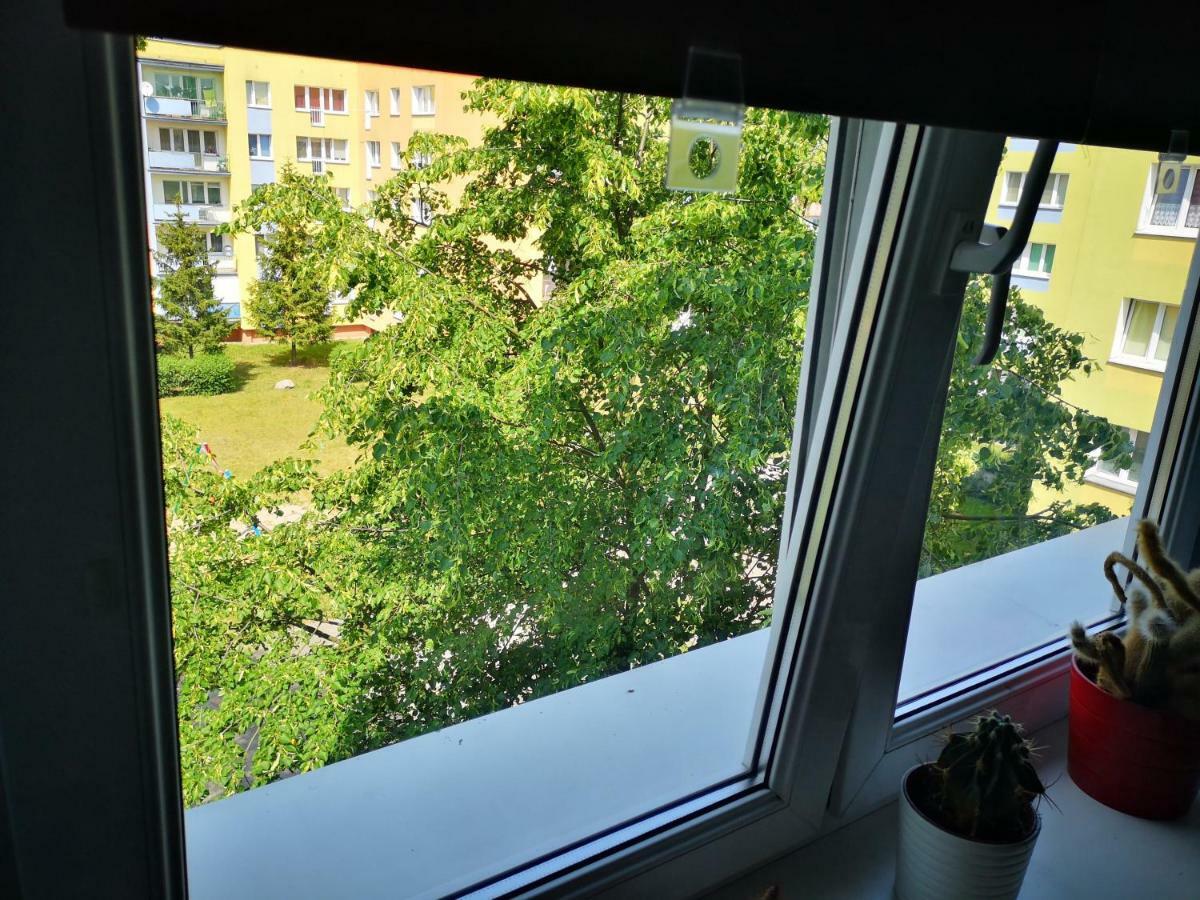 Ferienwohnung Poza Zgielkiem Miasta, A Jednak Wszystko W Zasiegu Bromberg Exterior foto